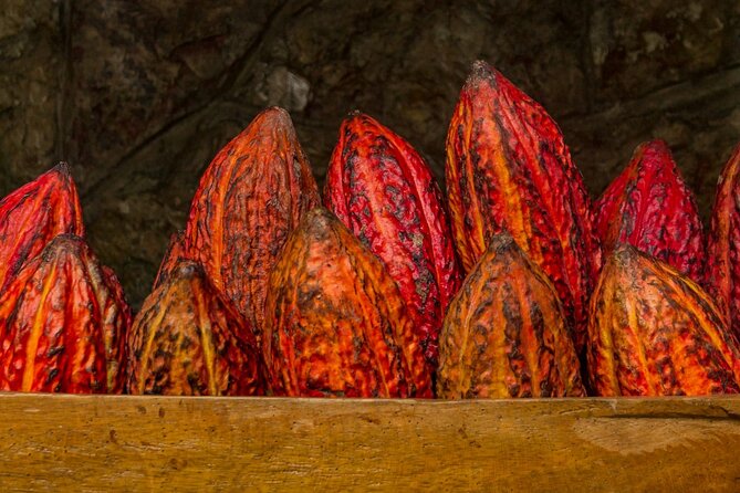 Half Day Bliss Cacao Farm Adventure & Guayaquil City Highlights - Traveler Testimonials and Feedback