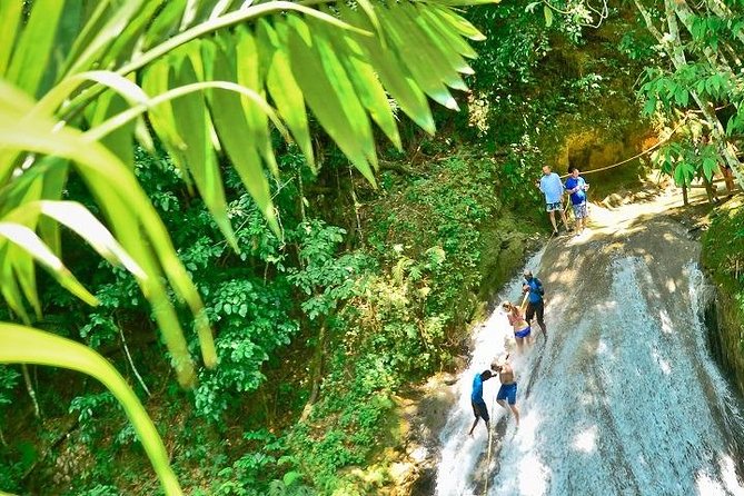Half-Day Blue Hole and Secret Falls Tour From Runaway Bay - What to Expect