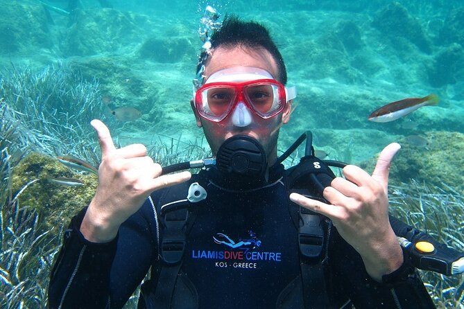 Half Day Boat Diving Experience for Beginners in Kos Greece - Schedule and Meeting Details