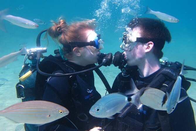 Half Day Boat Diving Experience for Beginners in Kos Greece - Accessibility and Age Requirements