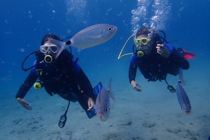 Half Day Boat Diving Experience for Beginners in Kos Greece - Cancellation and Refund Policy