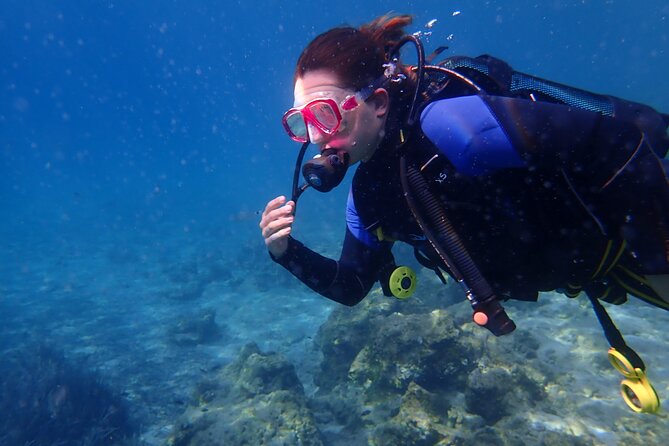 Half Day Boat Diving Experience for Beginners in Kos Greece - Highlights of the Tour