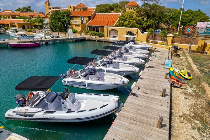 Half Day Boat Rental on Bonaire - Who is This Experience Best Suited For?