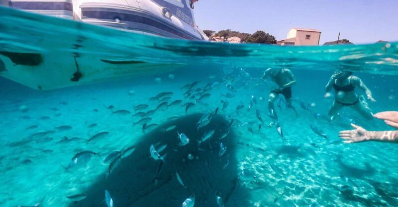 Half-Day Boat &Snorkeling Tour to La Maddalena - Inclusions