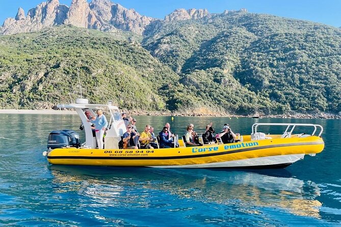 Half Day Boat Trip to Scandola Calanche De Piana - Inclusions and Exclusions