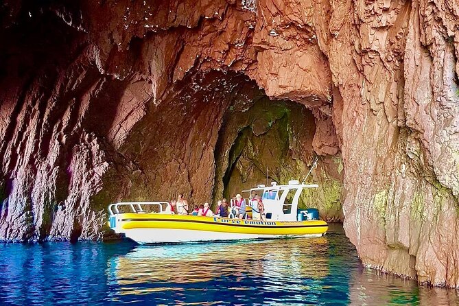Half Day Boat Trip to Scandola Calanche De Piana - Diverse Birdlife and Clear Waters