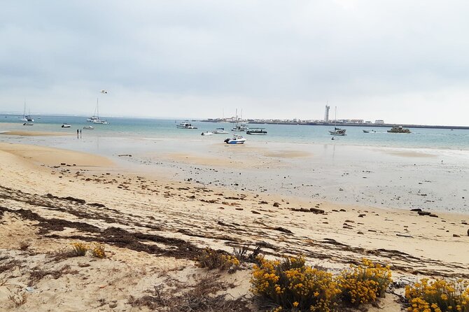 Half-Day Boat Trip to the Ria Formosa Islands - Preparing for the Boat Trip
