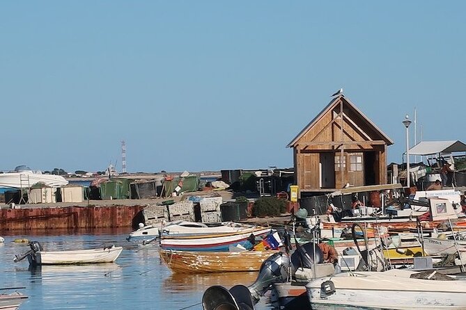 Half-Day Boat Trip to the Ria Formosa Islands - Participant Restrictions