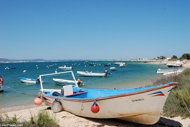 Half-Day Boat Trip to the Ria Formosa Islands - Worth The Stay