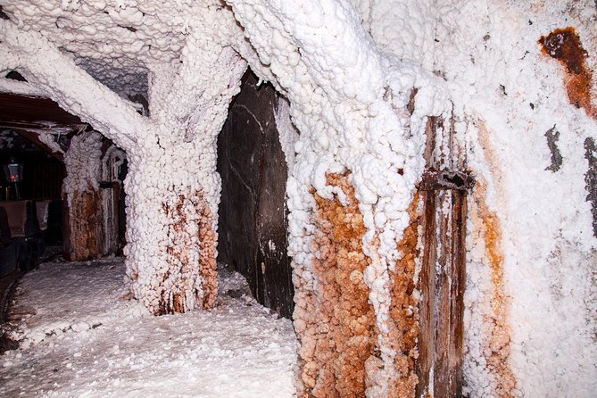 Half-Day Bochnia Salt Mine Private Guided Tour From Krakow - Health and Safety Information