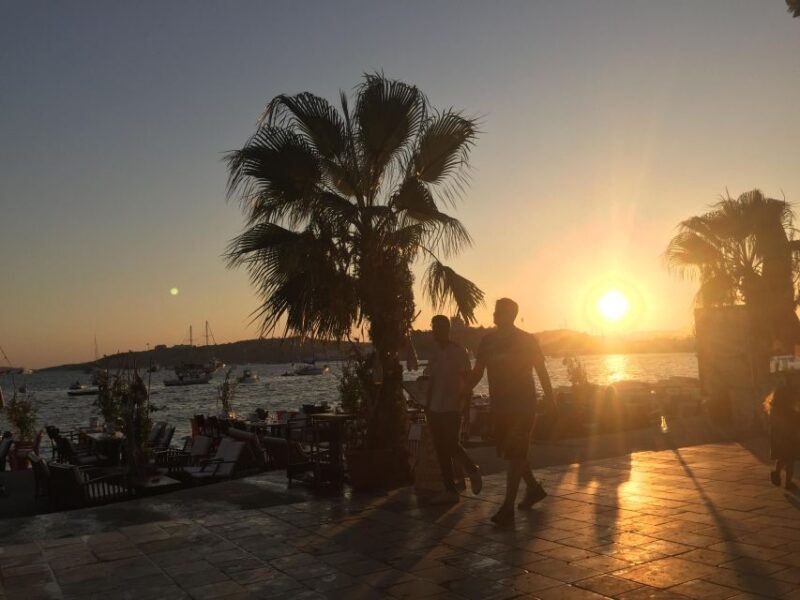 Half Day Bodrum (Halicarnasos) Tour by Car - Tour Experience