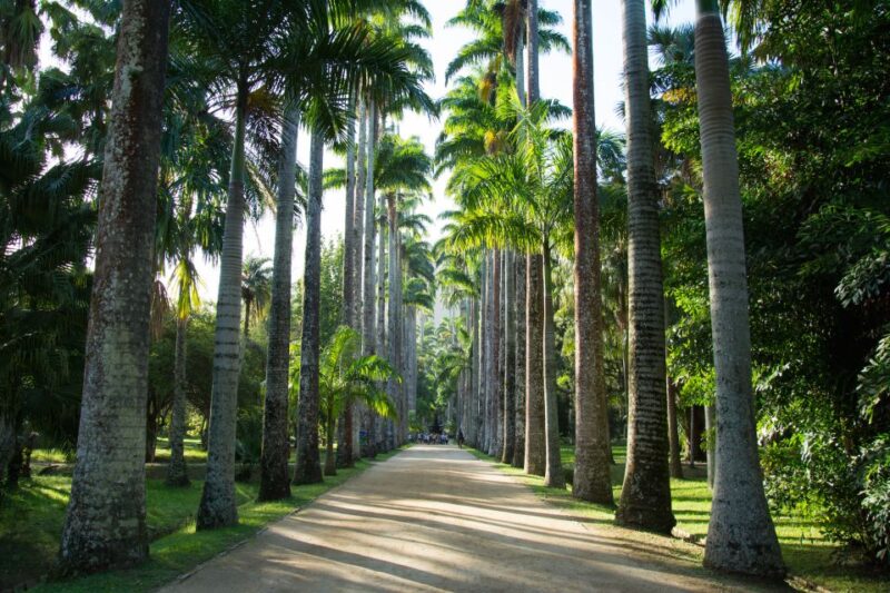 Half-Day Botanical Garden and Parque Lage Photo Tour - Exploring the Botanical Garden