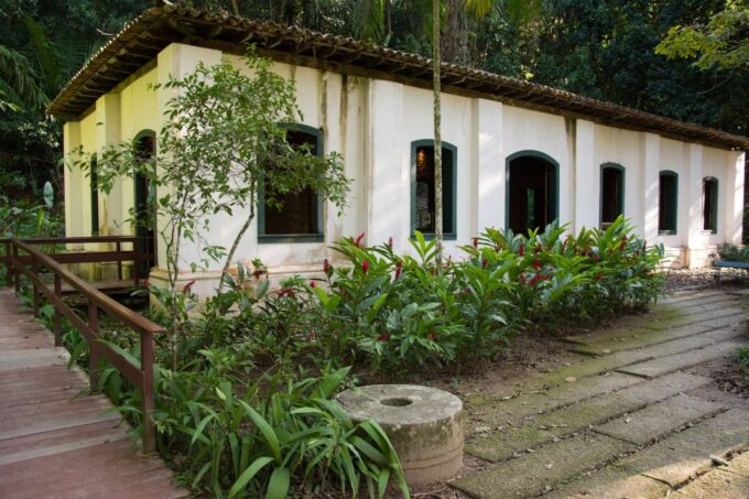 Half-Day Botanical Garden and Parque Lage Photo Tour - Discovering Parque Lage