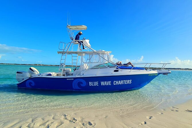 Half Day Bottom Fishing Private Charter - Fishing Gear and Bait