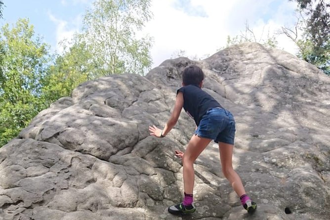 Half-Day Bouldering in Fontainebleau - Meeting and Logistics