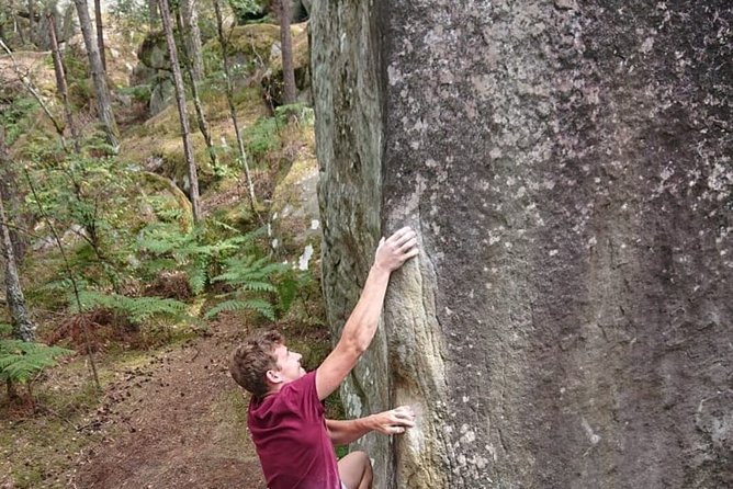 Half-Day Bouldering in Fontainebleau - Suitability and Accessibility