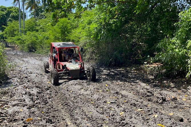 Half-Day Buggy Guided Adventure for Amber Cove and Taino Bay - Safety Considerations and Accessibility