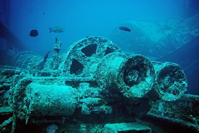 Half Day Bus Tour of Ras Mohammed National Park From Sharm Hotels - Ras Mohammed National Park Highlights
