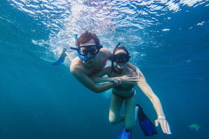 Half Day Cabo Snorkel Adventure With Lunch and Open Bar - Key Points