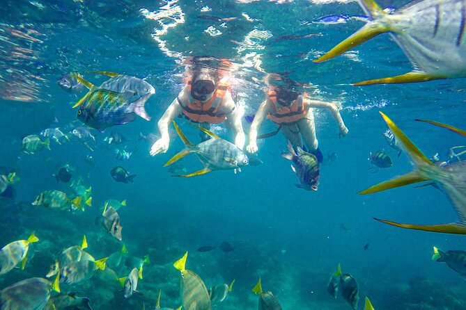 Half Day Cabo Snorkel Adventure With Lunch and Open Bar - Boat-Fresh Lunch and Open Bar
