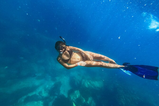 Half Day Cabo Snorkel Adventure With Lunch and Open Bar - Cancellation and Policies
