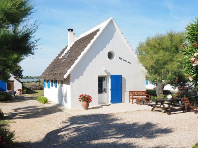 Half Day Camargue Wine Tour: Fortified City and Rosé Wines - Return to Montpellier