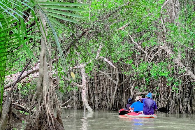 Half Day Canoe Boat Trip At Takuapa Little Amazon - Key Points