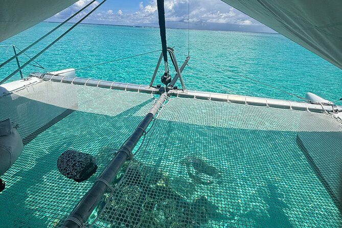 Half day catamaran sailing in the Sailinity Lagoon - Who Should Consider This Tour?