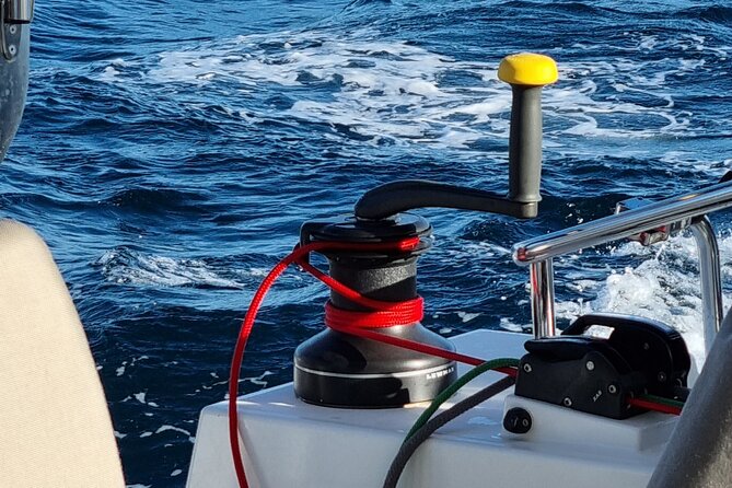 Half Day Catamaran Tour in Algarve - Lagos - Reviews and Ratings