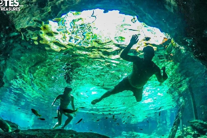 Half Day Cenotes Tour - Key Points