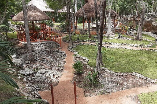 Half Day Cenotes Tour - Tour Experience