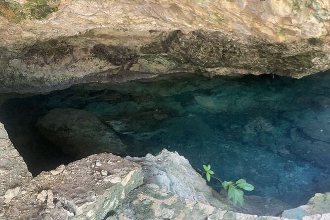 Half Day Cenotes Tour - Tips for a Great Tour