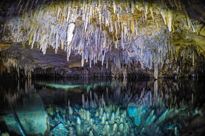 Half Day Cenotes Tour - Booking Information