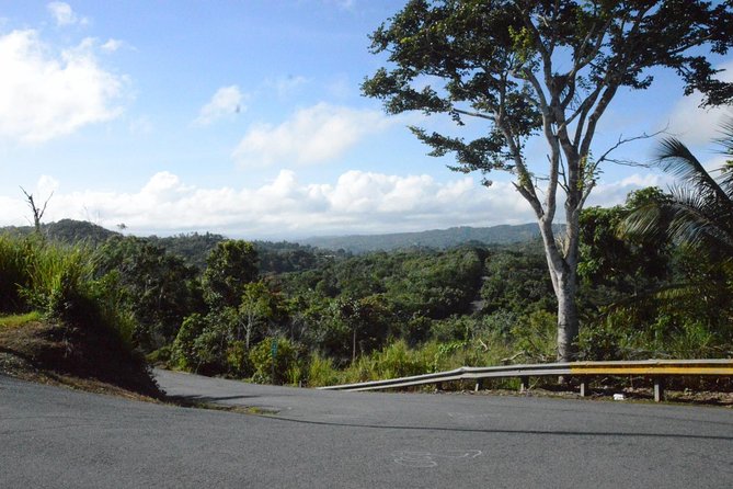 Half-Day Center of Puerto Rico Cultural Tour - Transportation and Logistics