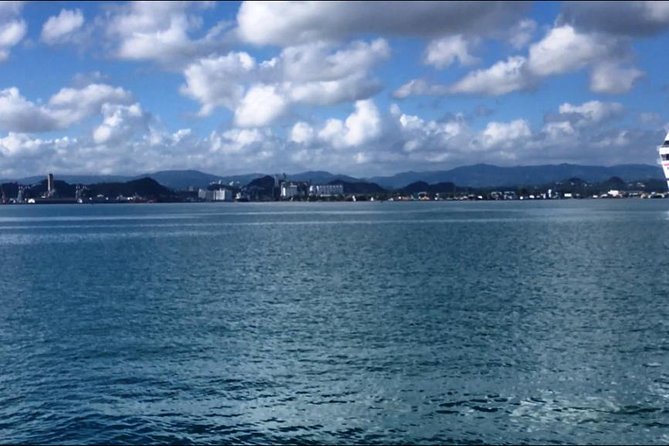 Half-Day Center of Puerto Rico Cultural Tour - Additional Information
