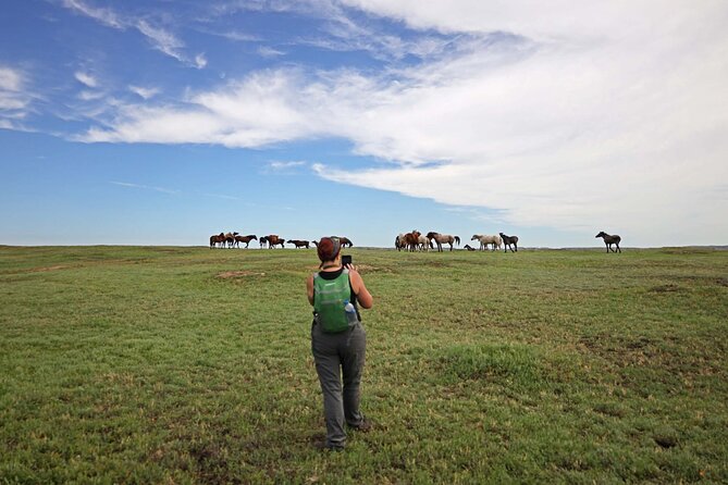 Half Day Chasing Horses Wildlife Photography Experience in North Dakota - Meeting and Logistics