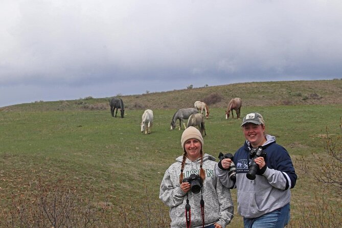 Half Day Chasing Horses Wildlife Photography Experience in North Dakota - Wild Horses in Theodore Roosevelt National Park
