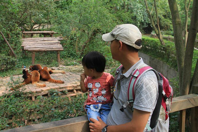 Half-Day Chengdu Panda Research Base Private Tour - Why This Tour Stands Out