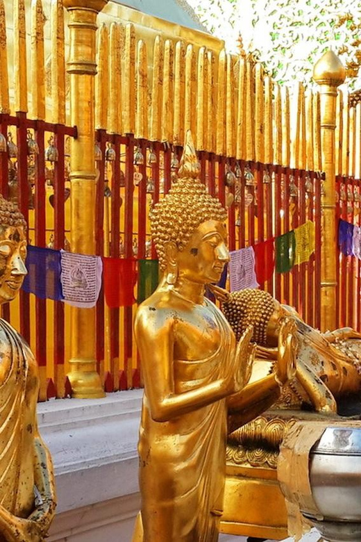 Half Day Chiang Mai City Tour - Visiting Wat Phra That Doi Suthep