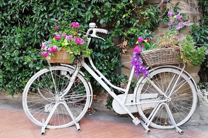 Half-Day Chianti Wine and Olive Oil Tour From Viareggio - Tasting Experience