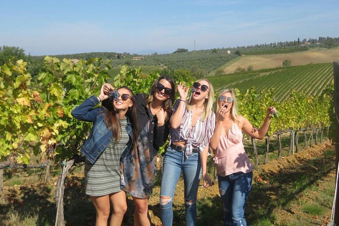 Half-Day Chianti Wine Tour From Florence - Small Group - Itinerary Highlights