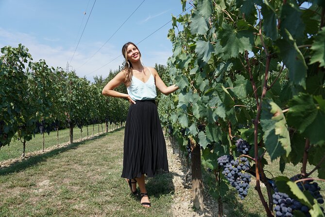 Half-Day Chianti Wine Tour From Florence - Small Group - Olive Oil Tasting