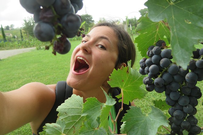 Half-Day Chianti Wine Tour From Florence - Small Group - Traveler Reviews