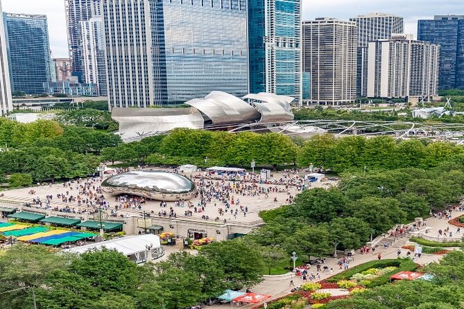 Half-Day Chicago Walking Tour With Skydeck and Boat Cruise - What to Expect