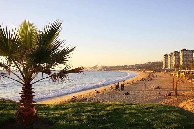 Half-Day Chilean Pacific Coast Tour: Viña Del Mar, Reñaca and Concón - Transportation and Logistics