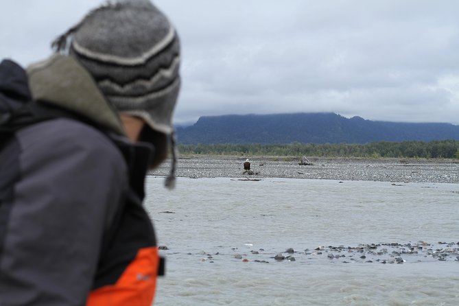 Half-Day Chilkat Bald Eagle Preserve Float Tour - Raft Trip and Cruise Experience