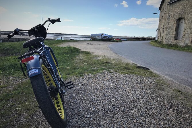 Half Day Circuit in Electric Fatbike Guided by GPS - Rental Options and Pricing