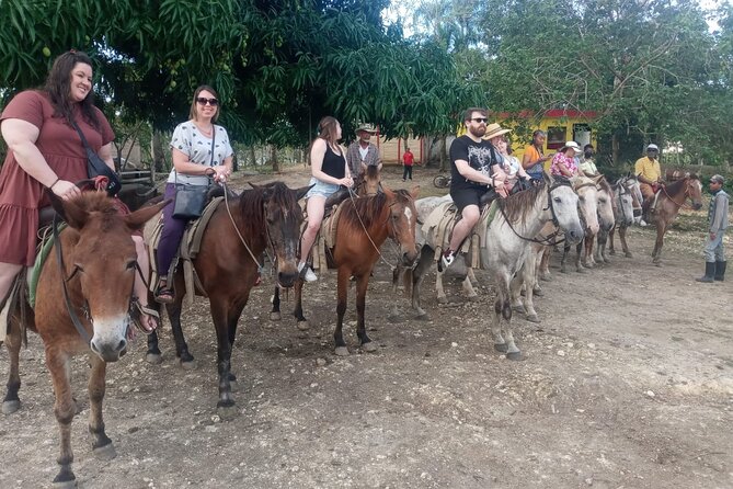 Half-Day City Tour Cultural From Punta Cana for Small Group - Pickup and Duration