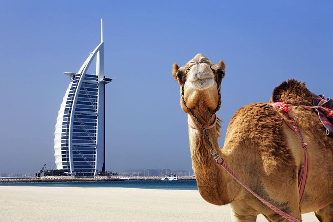 Half Day City Tour With Dubai Frame Tickets - Highlights and Attractions
