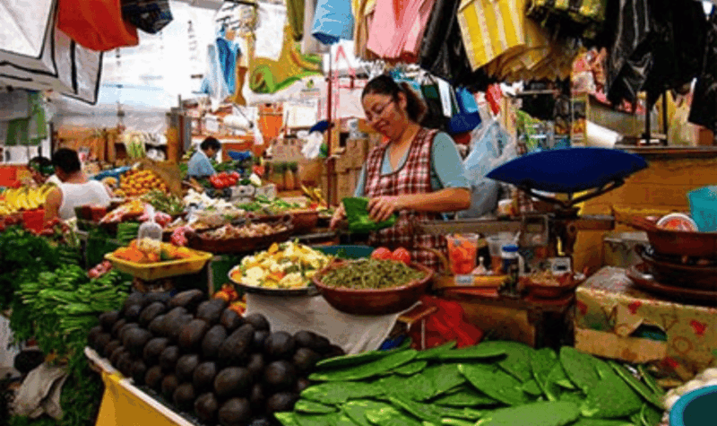 Half Day City Tours Be Dominican For One Day - Experience Description